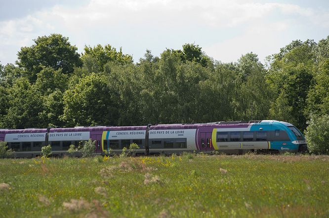 Train TER dans la campagne