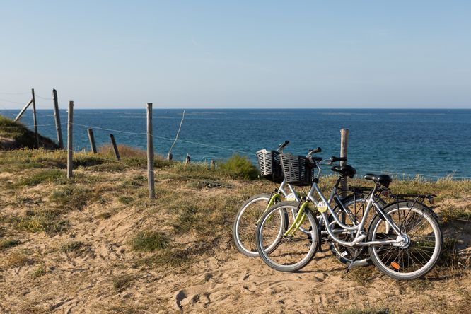 Vue sur deux vélos en bord de mer 