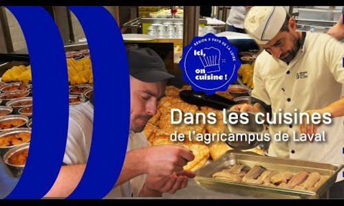 Ici on cuisine ! Un menu étoilé dans les lycées