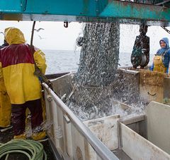 Pêcheurs au travail sur un chalutier, en mer